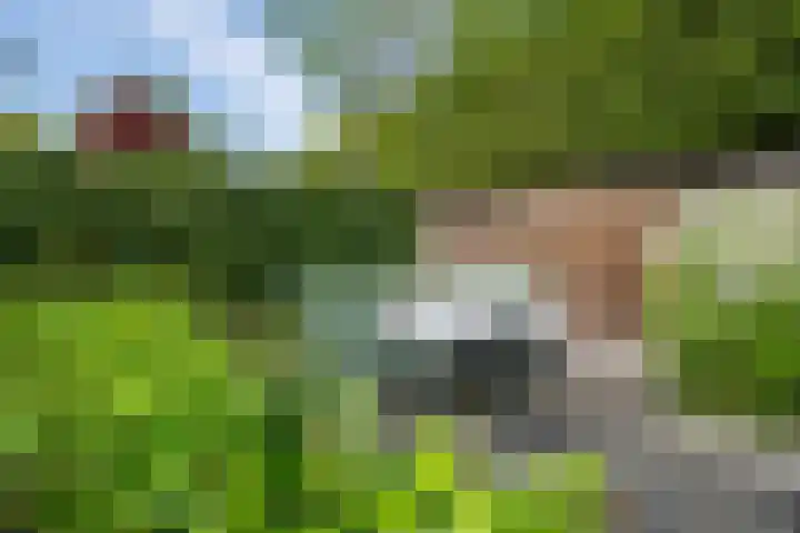 Fonteinkruidlaan 11 Enschede thumbnail 38