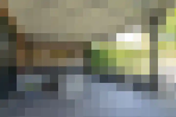 Fonteinkruidlaan 11 Enschede thumbnail 39