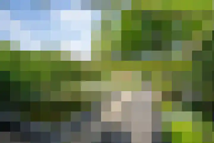 Fonteinkruidlaan 11 Enschede thumbnail 4
