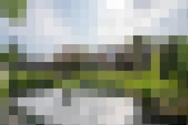 Fonteinkruidlaan 11 Enschede thumbnail 41
