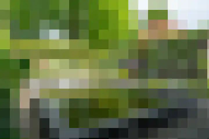 Fonteinkruidlaan 11 Enschede thumbnail 42