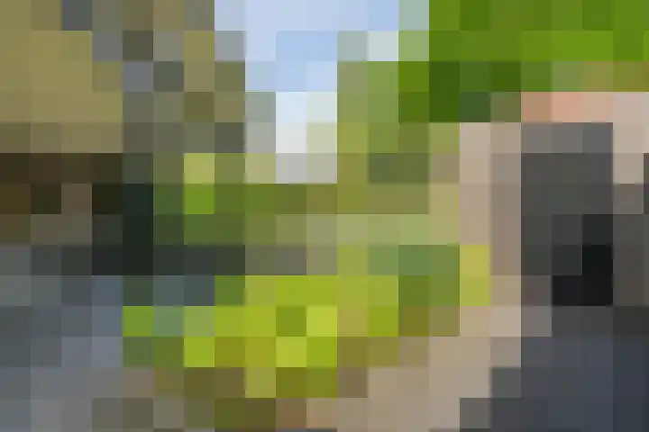 Fonteinkruidlaan 11 Enschede thumbnail 44