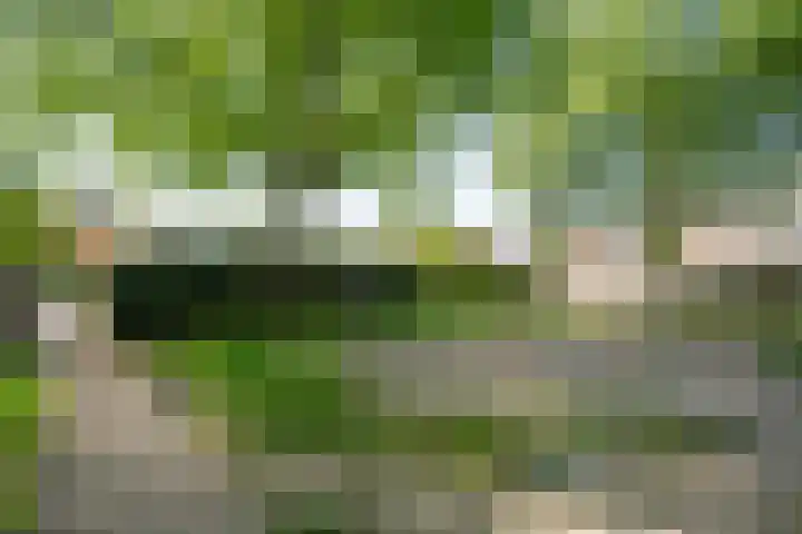 Fonteinkruidlaan 11 Enschede thumbnail 47