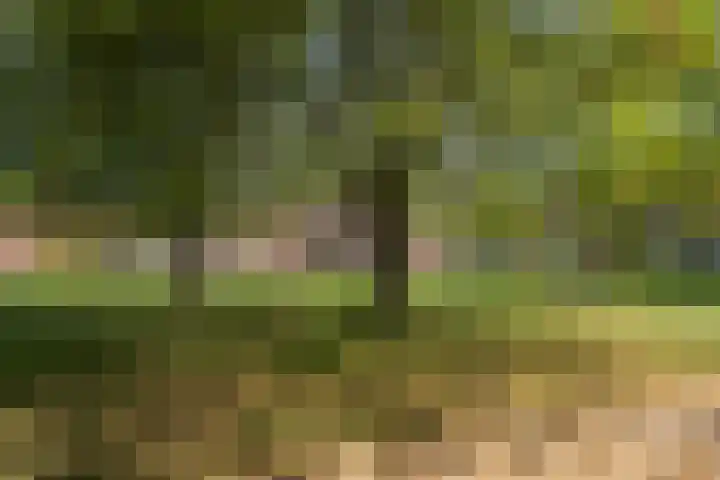 Fonteinkruidlaan 11 Enschede thumbnail 50