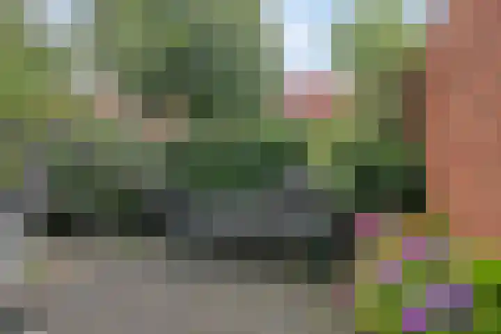 Fonteinkruidstraat 1 Arnhem thumbnail 35