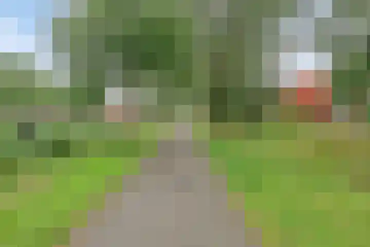 Fonteinkruidstraat 1 Arnhem thumbnail 44