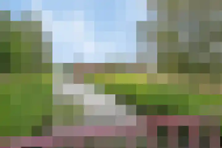 Fonteinkruidstraat 1 Arnhem thumbnail 46