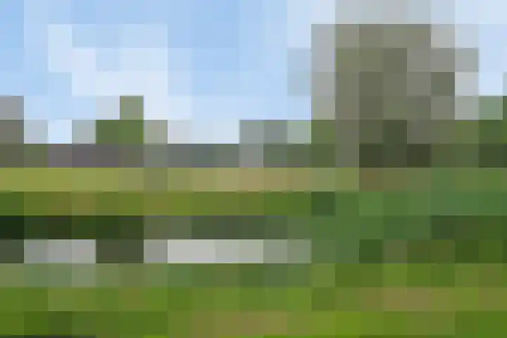 Fonteinkruidstraat 1 Arnhem thumbnail 47