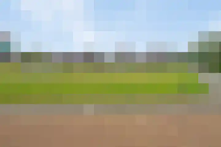 Fonteinkruidstraat 1 Arnhem thumbnail 48