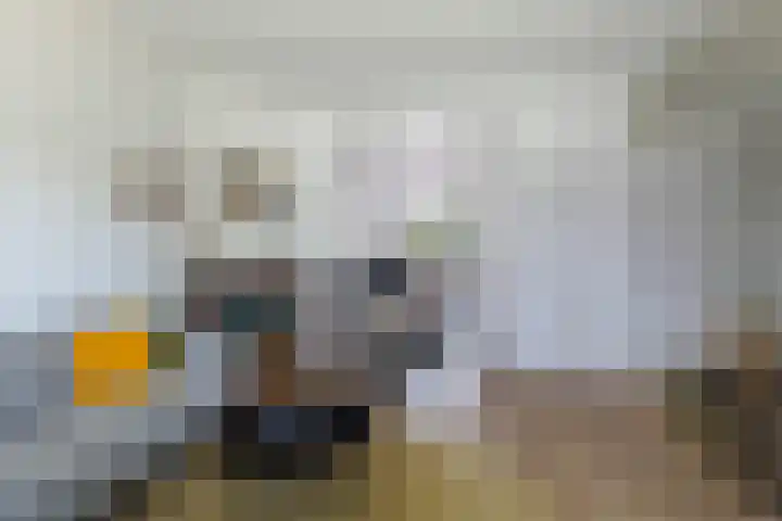 Fonteinstraat 77 Leeuwarden thumbnail 16