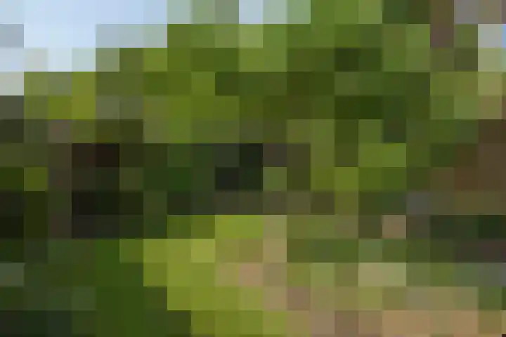 Fonteinstraat 77 Leeuwarden thumbnail 27