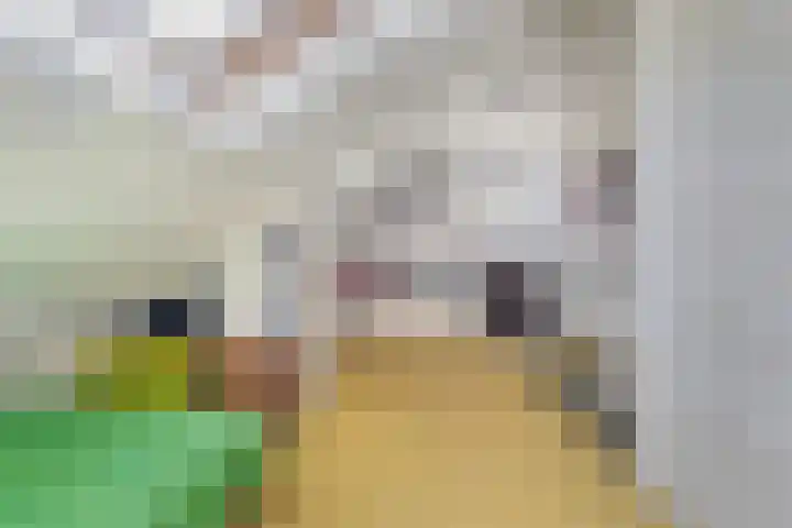 Fonteinstraat 77 Leeuwarden thumbnail 41