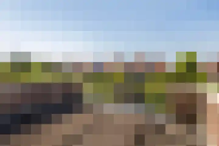 Fonteinstraat 77 Leeuwarden thumbnail 44