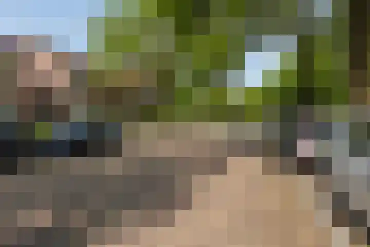 Fonteinstraat 77 Leeuwarden thumbnail 46