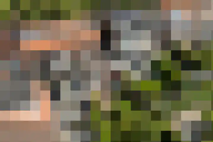 Fonteinstraat 77 Leeuwarden thumbnail 47