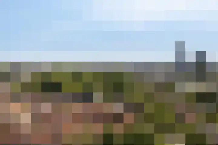 Fonteinstraat 77 Leeuwarden thumbnail 48