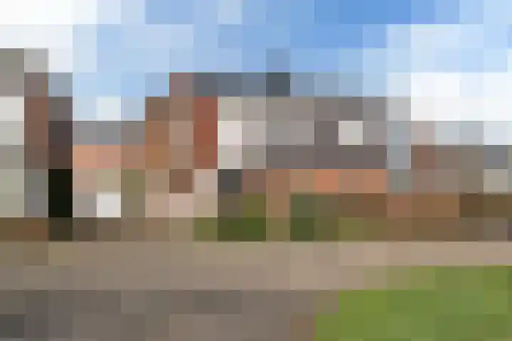 Fopma's reed 22 in Wytgaard