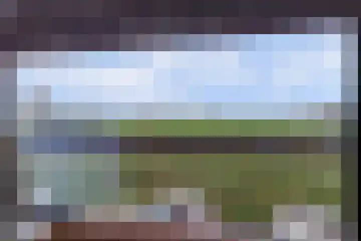 Forel 150 Amersfoort thumbnail 14