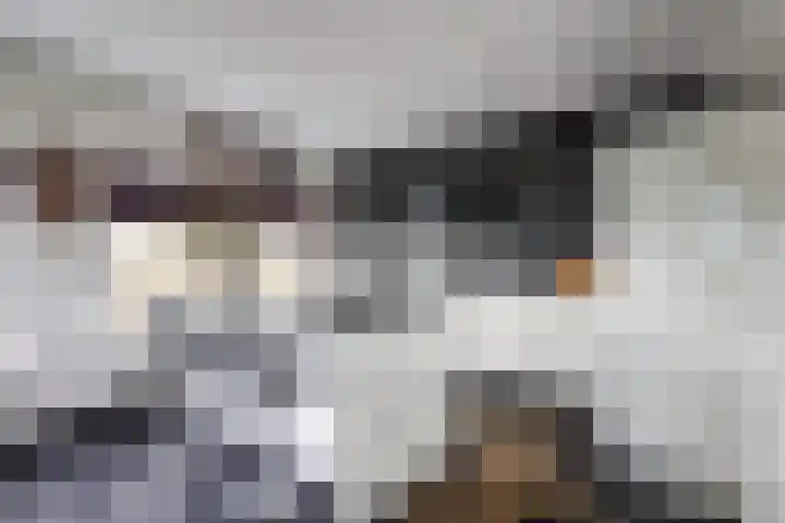 Forel 150 Amersfoort thumbnail 18