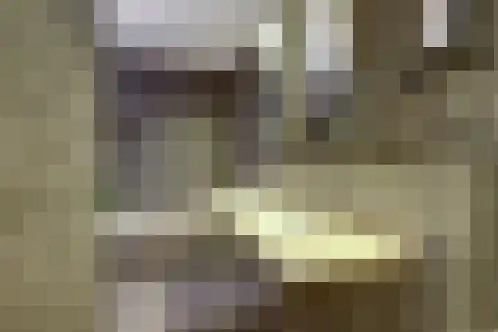 Forel 150 Amersfoort thumbnail 30