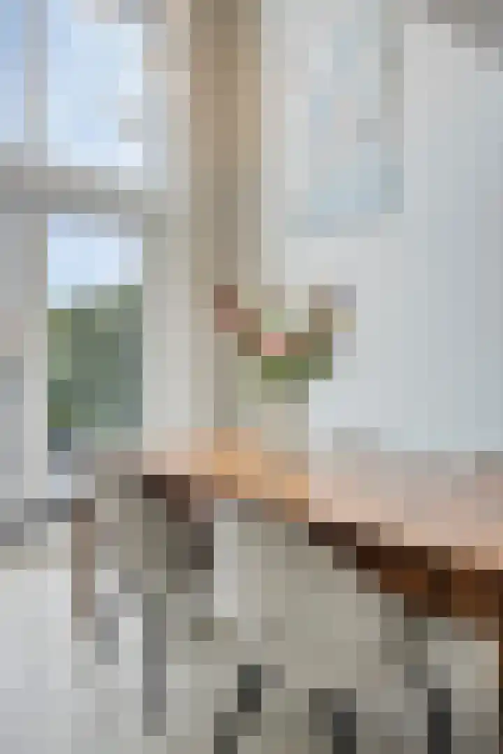 Forel 16 Amersfoort thumbnail 16