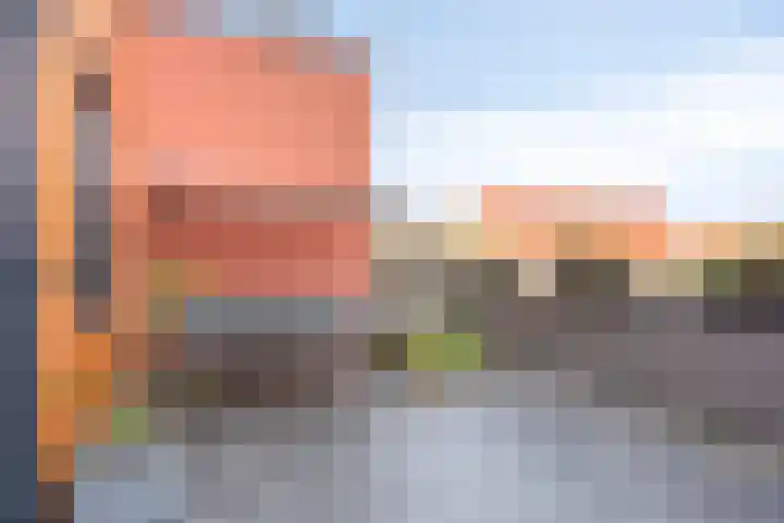 Forel 16 Amersfoort thumbnail 18