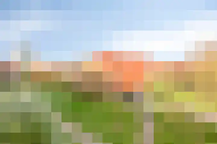 Forel 16 Amersfoort thumbnail 20
