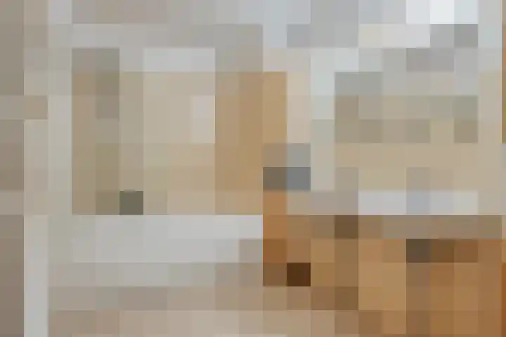Forel 16 Amersfoort thumbnail 31