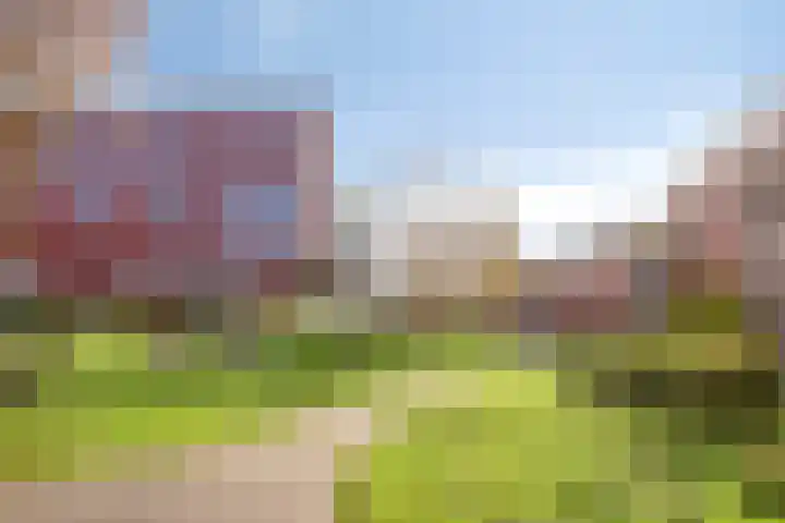 Forel 16 Amersfoort thumbnail 34