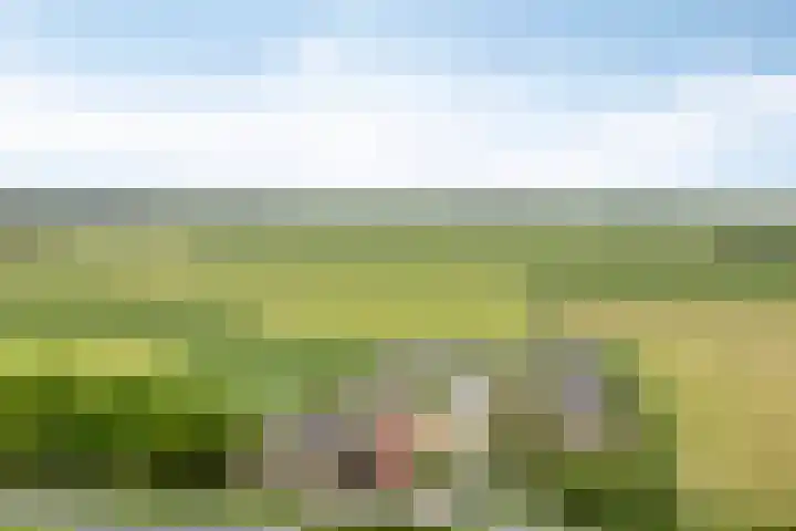 Forel 224 Amersfoort thumbnail 12