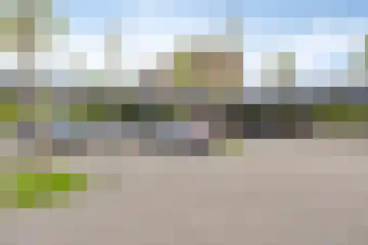 Forel 224 Amersfoort thumbnail 26