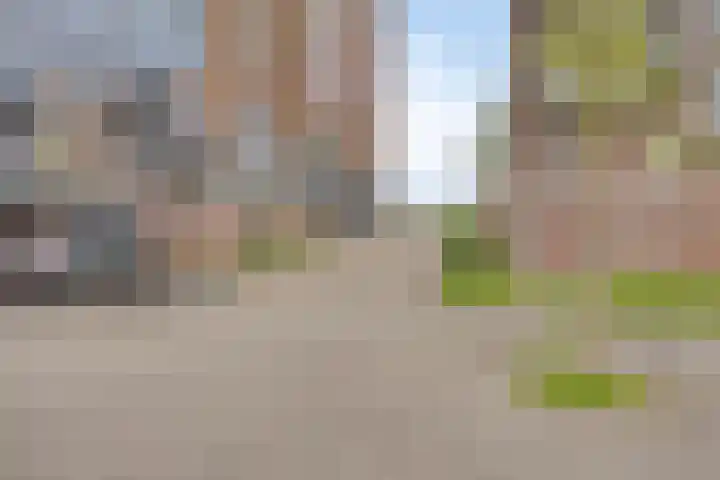 Forel 224 Amersfoort thumbnail 27