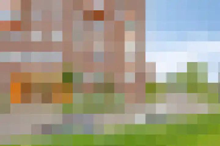 Forel 224 Amersfoort thumbnail 29