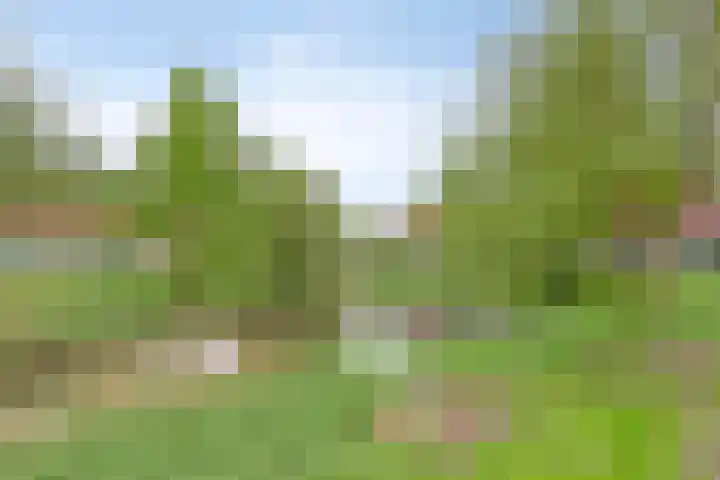 Forel 224 Amersfoort thumbnail 30