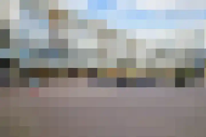 Forel 224 Amersfoort thumbnail 35