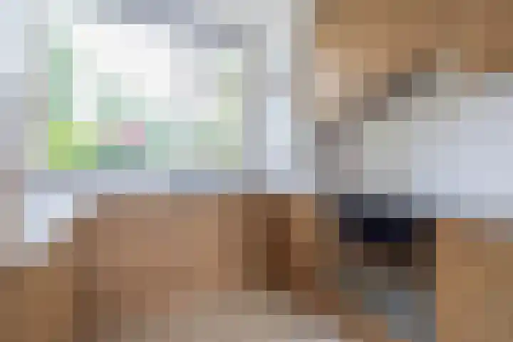 Forel 24 Ridderkerk thumbnail 20
