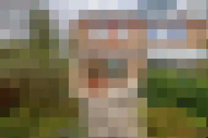 Forel 24 Ridderkerk thumbnail 4