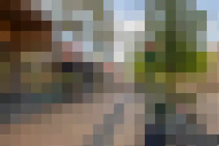 Forel 24 Ridderkerk thumbnail 42
