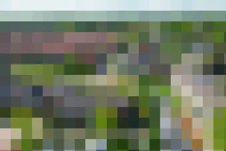 Forel 24 Ridderkerk thumbnail 47