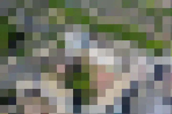 Forel 24 Ridderkerk thumbnail 51