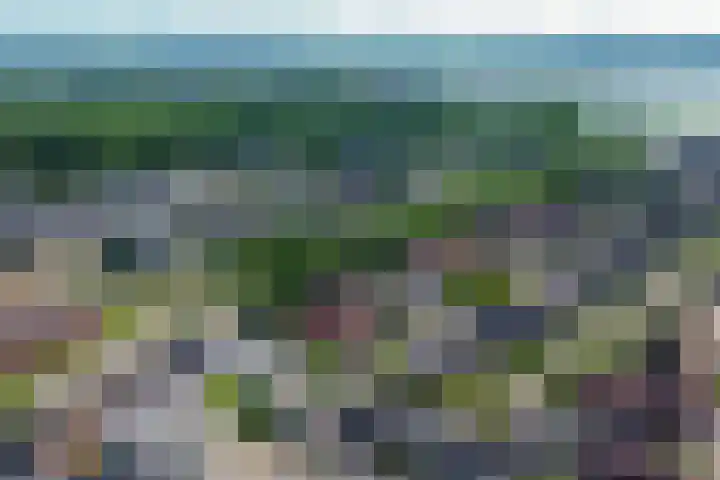 Forel 24 Ridderkerk thumbnail 52
