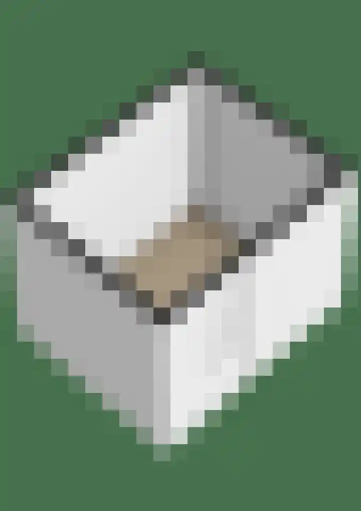 Forel 24 Ridderkerk thumbnail 57