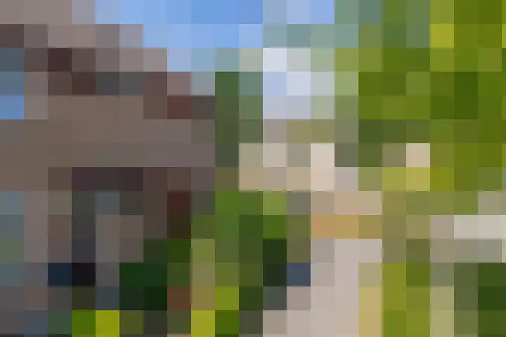 Forel 24 Ridderkerk thumbnail 9