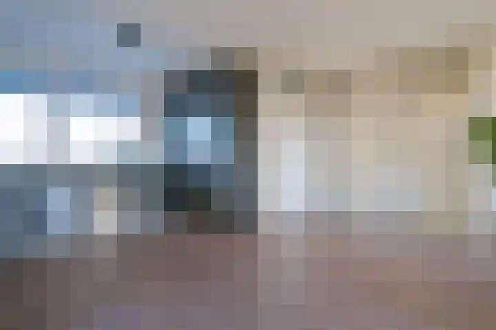 Forel 366 Amersfoort thumbnail 8