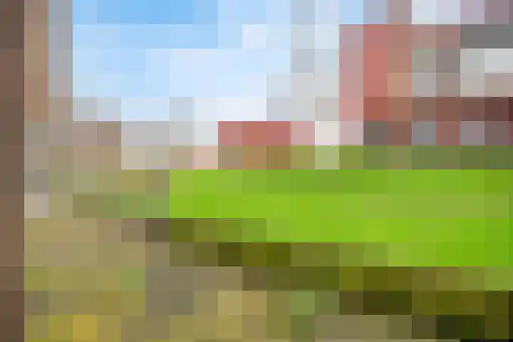 Forel 38 Amersfoort thumbnail 12