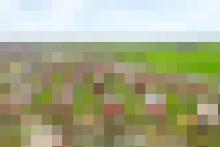 Forel 38 Amersfoort thumbnail 35