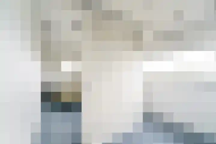 Forel 92 Amersfoort thumbnail 11