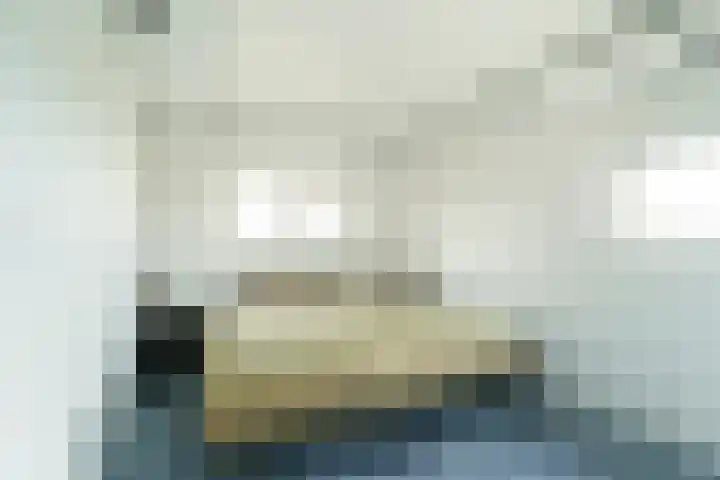 Forel 92 Amersfoort thumbnail 12