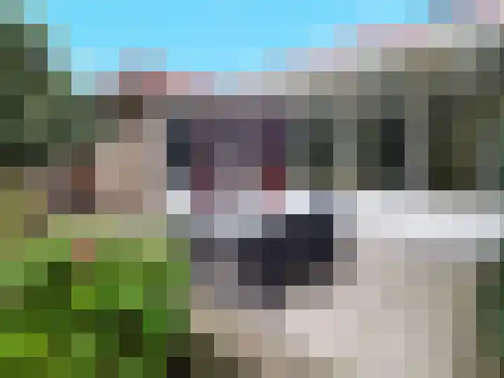 Forel 92 Amersfoort thumbnail 20