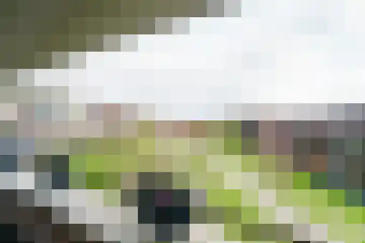 Forel 92 Amersfoort thumbnail 8